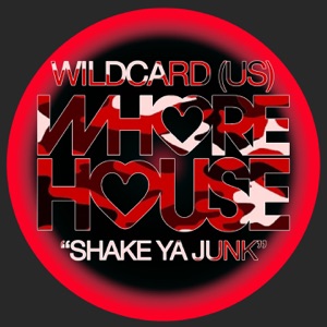 Shake Ya Junk - Single