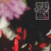 W(e) ave cover art
