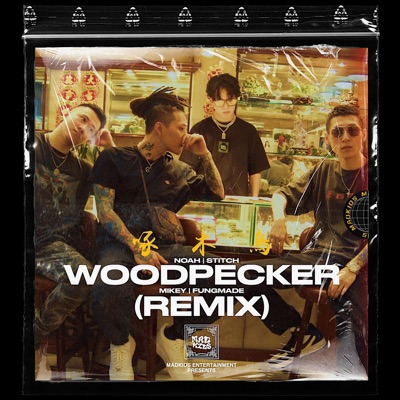 啄木鳥WOODPECKER (feat. STITCH626) [REMIX] - Single