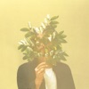 French Kiwi Juice artwork