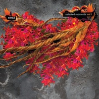 Selected Moments Volume 1 - Sense