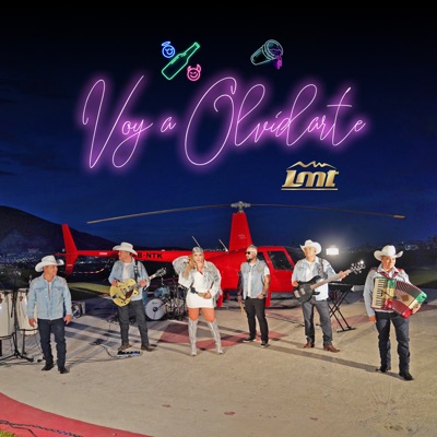 Voy a Olvidarte - Single