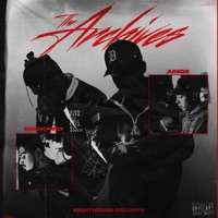 The Archives - Coach Mvrx & Junior