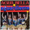 Aguardiente