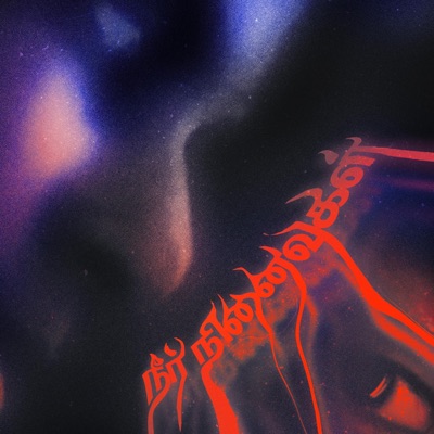 Neer Ninaivugal (feat. Pranav Muniraj) - Single