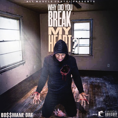 Why Did You Break My Heart? (instrumental) - Single