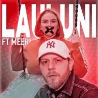 Lauluni (feat. Meeri) - Single - Pikkis