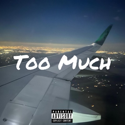 Too Much - Single