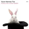 Yaron Herman Trio - Ein Gedi