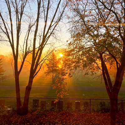 Upsettingly Unique (feat. Leo Deslauriers) - Single