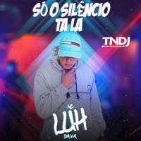 Só o Silêncio Tá Lá - Single - Mc Luh Da V.A