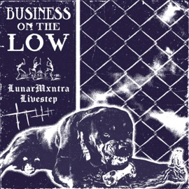 Business On the Low (feat. Livestep) LunarMxntra
