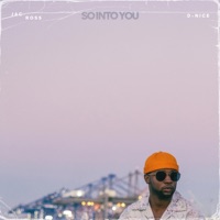 So Into You (feat. D-Nice) [Darkchild Main Version] - Single - Jac Ross