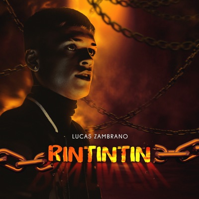 Rintintin - Single