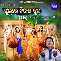 Jhul Re Nitai Jhul 16 - Single - Prasant Padhi