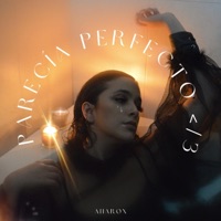 parecía perfecto </3 - Single - Anarox