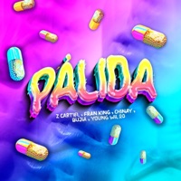 Pálida (feat. Fran King, Chinay, Bujia & Youngwil Rd) - Single - Z Cartiel