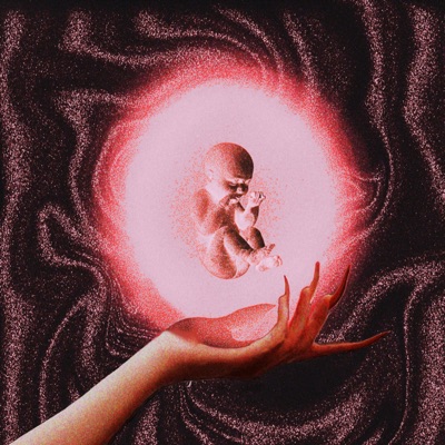 Universe we have Become - Single