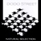 Larking - Dodo Street lyrics