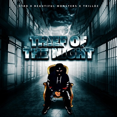 Thief of the Night (feat. Trilloz & Beautiful Monsters) - Single