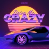 Drive Me Crazy - Single