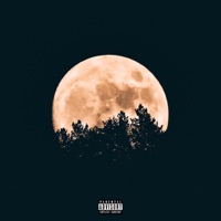 Dark - Single - Jett