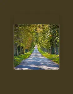 收听 Emerson Evans、观看音乐视频、阅读小传、查看巡演日期等 ！