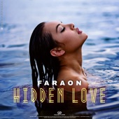 Hidden Love artwork