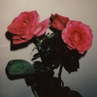 rosen - Single - absent