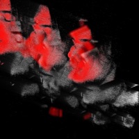 shag - Single - notpray