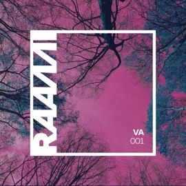 End of an Era (feat. Jarkko) Raami Collective