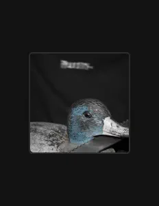 Listen to I Fucked a Turkey, watch music videos, read bio, see tour dates & more!