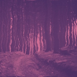 Pathway Typatheo