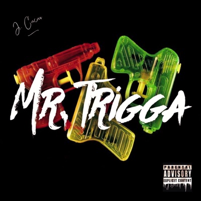Mr. Trigga - Single
