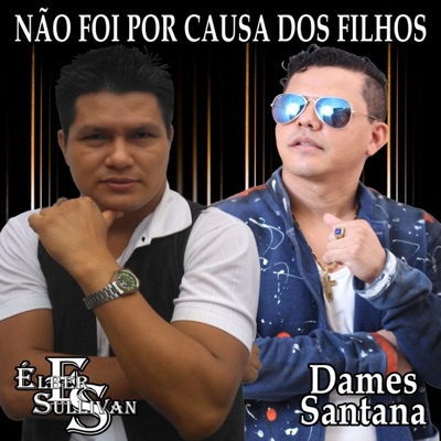 Não Foi por Causa dos Filhos - Single