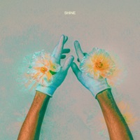 Shine (feat. Raychel Jay) - Single - omniboi