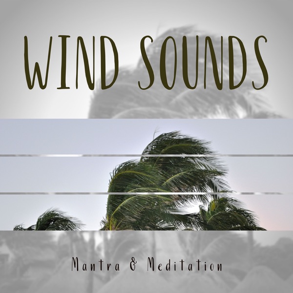 Wind Sounds