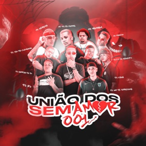 União dos Sem Amor 001 (feat. MC TH DA SERRA, DJ 2K DO TAQUARIL, MC Garoto, Mc Bombom, MC Dennin, DJ Ws da Igrejinha & DJ Viana)