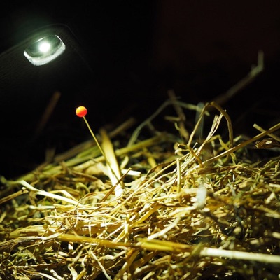 Needle In the Haystack (Ajaspa) - Single