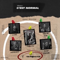 C'EST NORMAL (feat. SOULBY THB, LIMO, DIOP SOUARE & AK4SEVEN) - Single - ŸUDINI