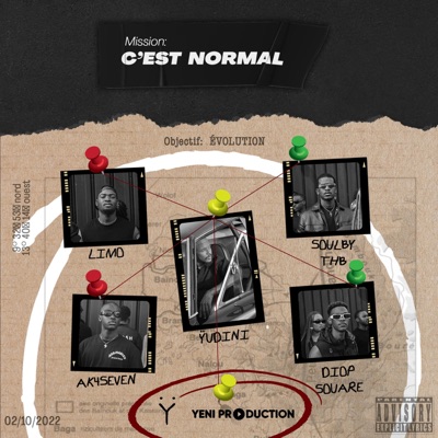 C'EST NORMAL (feat. SOULBY THB, LIMO, DIOP SOUARE & AK4SEVEN) - Single