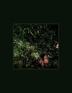 Listen to Jackson Côté, watch music videos, read bio, see tour dates & more!