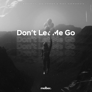 Don't Let Me Go (feat. Mert Harmankaya)