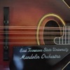 ETSU Mandolin Orchestra - Mandolin Concerto in C Major Rv 425, Allegro