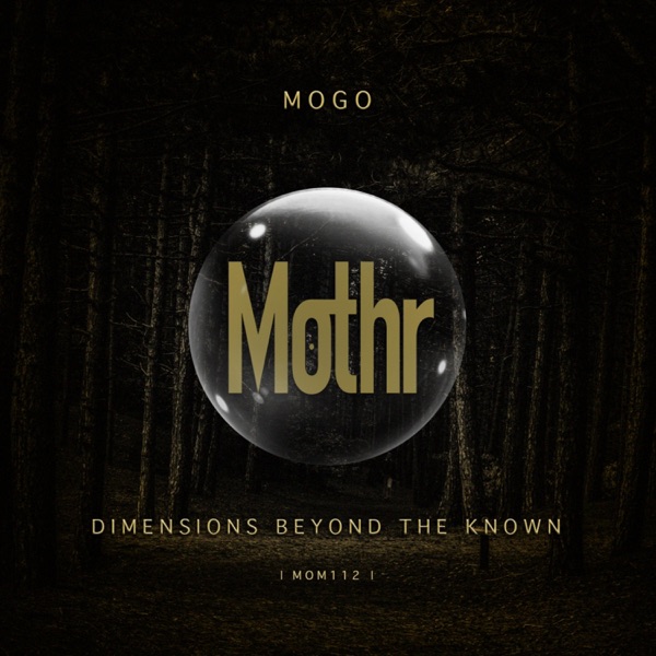 Dimensions Beyond the Known - Single