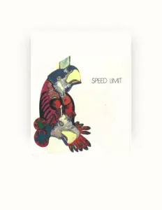 聆聽 Speed Limit、觀看音樂影片、閱讀小傳、查看巡演日期等！