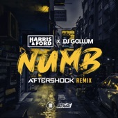 Numb (Aftershock Extended Remix) artwork