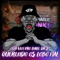 Ela Vem pro Baile da J Querendo os Lobo Mal - Single - DJ G7 OFICIAL, Mc Gordinho do Catarina & WL da Serra