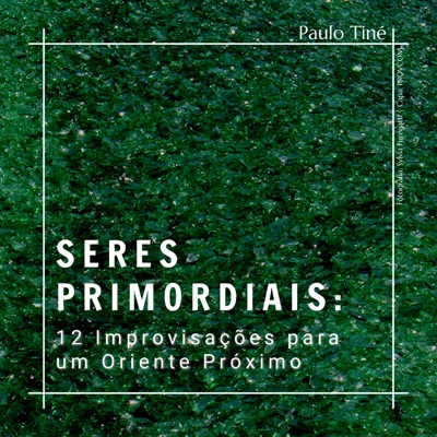 Seres Primordiais: 12 Improvisações para um Oriente Próximo