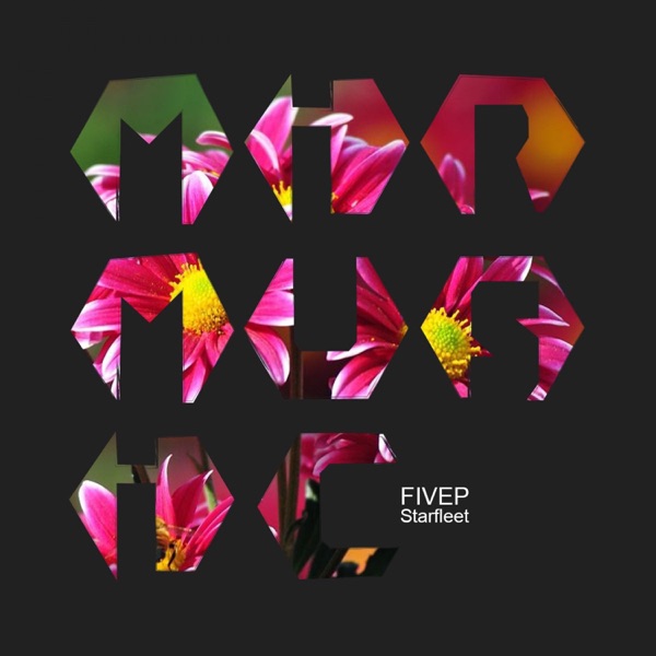 Starfleet - Single